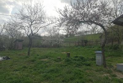 Casă cu 3 camere cu Teren 900 Mp în Sânmihaiu Almașului - 9