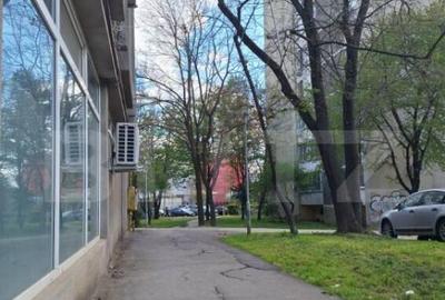 Teren intravilan de vanzare, 228 mp, zona Take Ionescu - 4