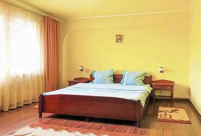 Pensiune 3 margarete - 3