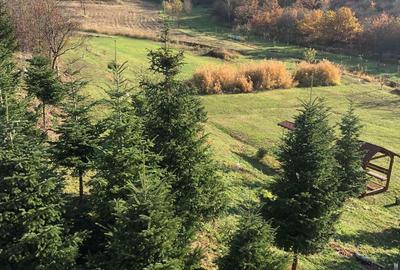 Casă cu 5 camere în Șiria - 3