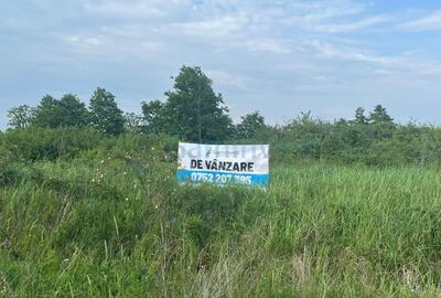 Teren Construcții intravilan de 4910 mp, în Săldăbagiu de Munte - 2