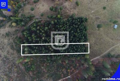 Teren situat in Frasin | BUCOVINA - 3