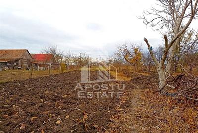 Teren 1000mp Cu Utilitati Dudesti Noi - 12