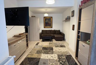 Apartament 2 camere Ozana 1 Decembrie mobilat utilat - 3