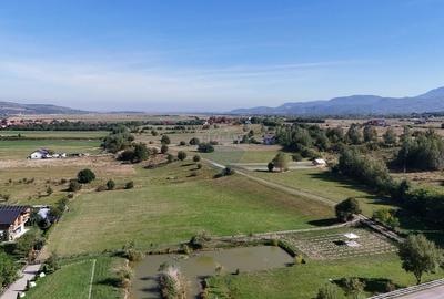 Teren Construcții intravilan de 6648 mp, în Tohanu Nou - 7