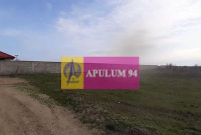 Parcela langa padure in Ilfov - 3