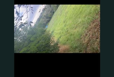 Teren Construcții intravilan de 534 mp, în Nord-Vest - 2