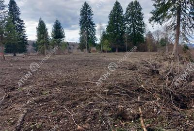 Teren intravilan 1000 mp in Avrig zona Valea Avrigului - 3