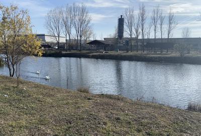 Teren intravilan 500mp, Pielesti - 1