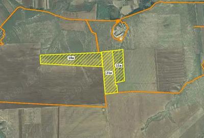 Vanzare Inchiriere teren pa?une 59 Ha-Ideal Parc Energetic - 2
