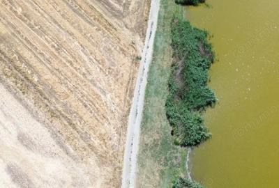 Teren de 6500 mp, în Frumușani