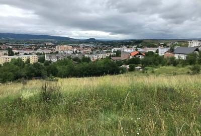 Teren de 750 mp, în Bejan - 1