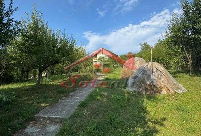 Casă cu Teren 2404 Mp în Cornu - 3