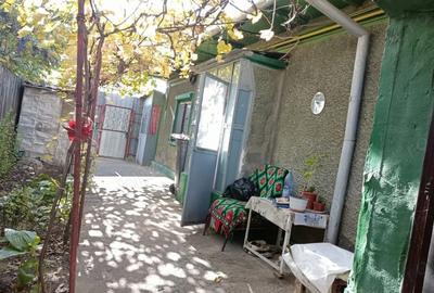 Casă cu 4 camere cu Teren 256 Mp în Radu Negru - 1