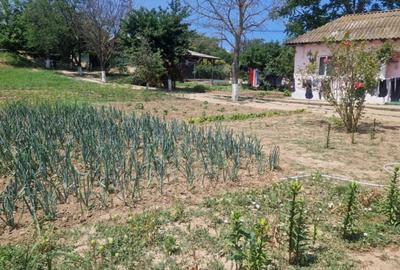 MAHMUDIA-TERENURI SI CASE - 9