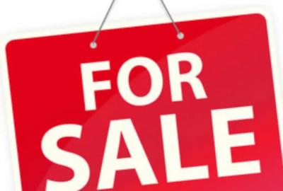 Teren de 3500 mp, în Horodnic - 1