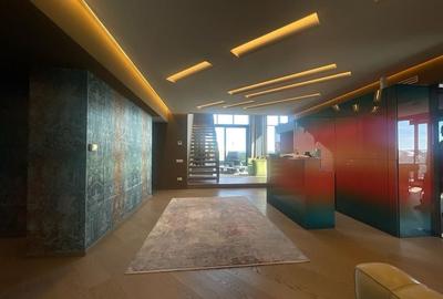 Penthouse unicat cu vedere panoramica zona Floreasca - 10