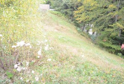 Busteni-Teren cu panorama superba de vanzare - 14