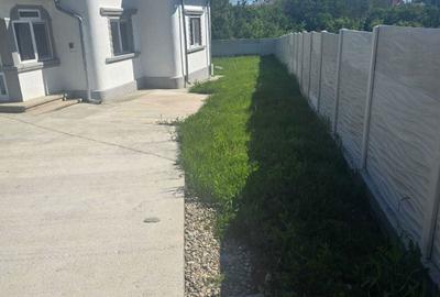 Casă cu 2 camere cu Teren 700 Mp în Bradu - 8