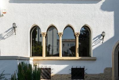 Vila Istorica in Zona Dacia – Eleganta, Spatiu Generos si Locatie Exclusivista - 20