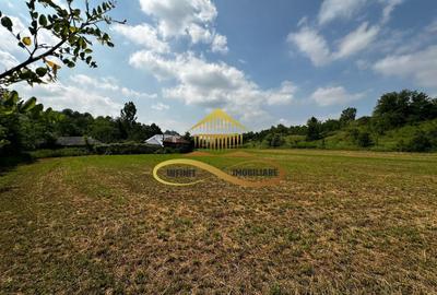 Casa batraneasca cu 2ha de teren de vanzare in sat Balaia / Bacau - 18
