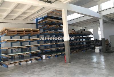 HALA la standarde exceptionale - 2