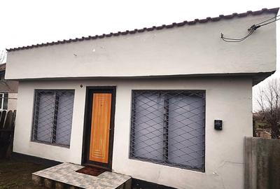 Proprietate multifunctionala cu potential rezidential si comercial - 1