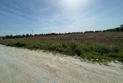 Teren Construcții intravilan de 9400 mp, în Palanca - 4