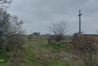 Teren Construcții intravilan de 5808 mp, în Săbăreni - 9