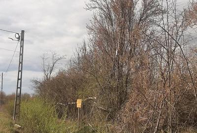 Teren de 2000 mp, în Sânnicolau Român - 9