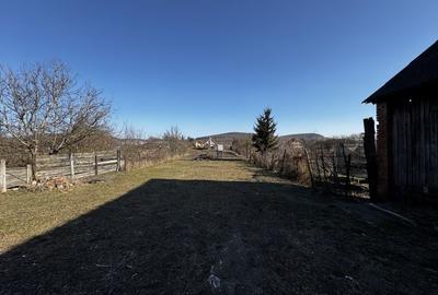 Casa de vânzare cu teren de 1600 mp, Dumbravioara, Ernei - 2