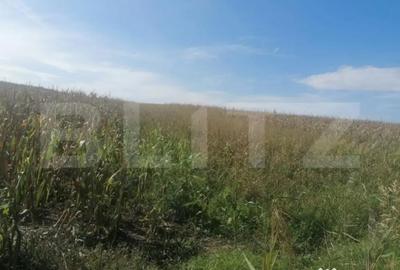 Teren de 3000 mp, în Miroslava - 3