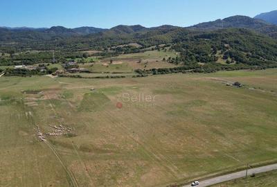 Teren extravilan Rasnov - 12