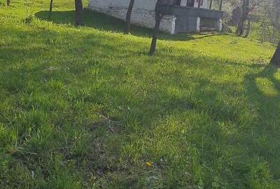 Casă cu 2 camere în Central - 7