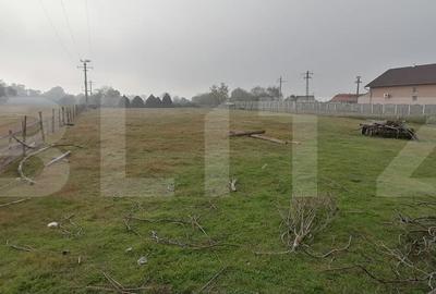 Teren intravilan 3300 mp apa, curent, posibilitate parcelare in Vurpar - 2