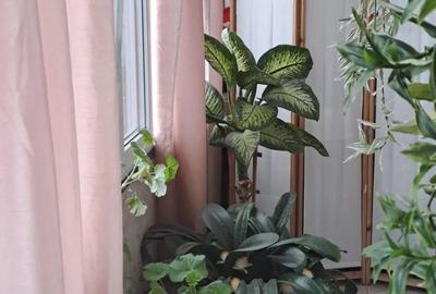 Vanzare apartament - 10