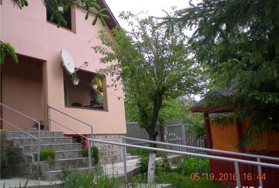 Casă cu 7 camere cu Teren 400 Mp în Greșu - 12