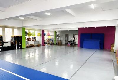 Calea Chisinaului, spatiu birouri 240mp, clasa A, disponibil imediat - 2