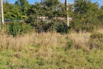 Teren Burdujeni, 2800 mp. - 6