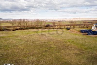 Teren de 950 mp, în Saca - 7