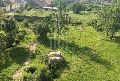 Casa Saseasca de vanzare in Somartin / Comision O % - 13