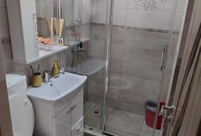 Garsonieră în Valea Rosie - 3