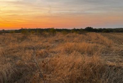 Teren extravilan 5000 , 2,5 euro mp BREASTA - 1