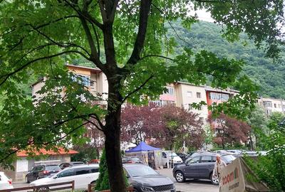 Apartament cu 2 camere decomandat în Central - 3