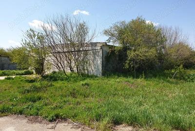 Spațiu comercial, de 30,000 mp, în Singureni - 3