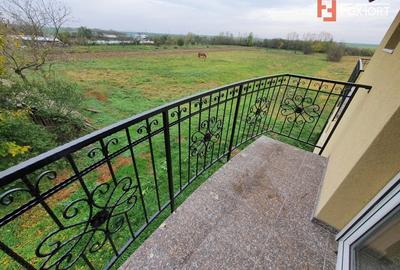 Casa cu 5 camere, 236 mp, teren 5805 mp, gaz, Brestea - Denta - 32