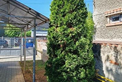 Apartament 4 camere ultracentral, Ploiesti, parter in vila - 23