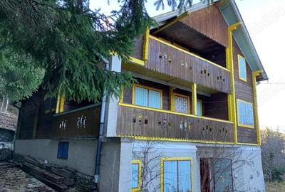 Casă cu Teren 2800 Mp în Muntele Băișorii - 2