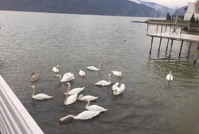 Casă cu 8 camere cu Teren 350 Mp în Eșelnița - 4