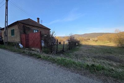 Casă cu 4 camere cu Teren 1887 Mp în Tisa - 4